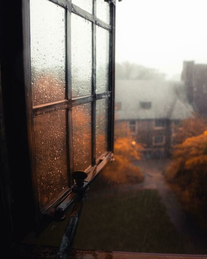 "Widok na deszczowy dzień z okna mojego pokoju"
