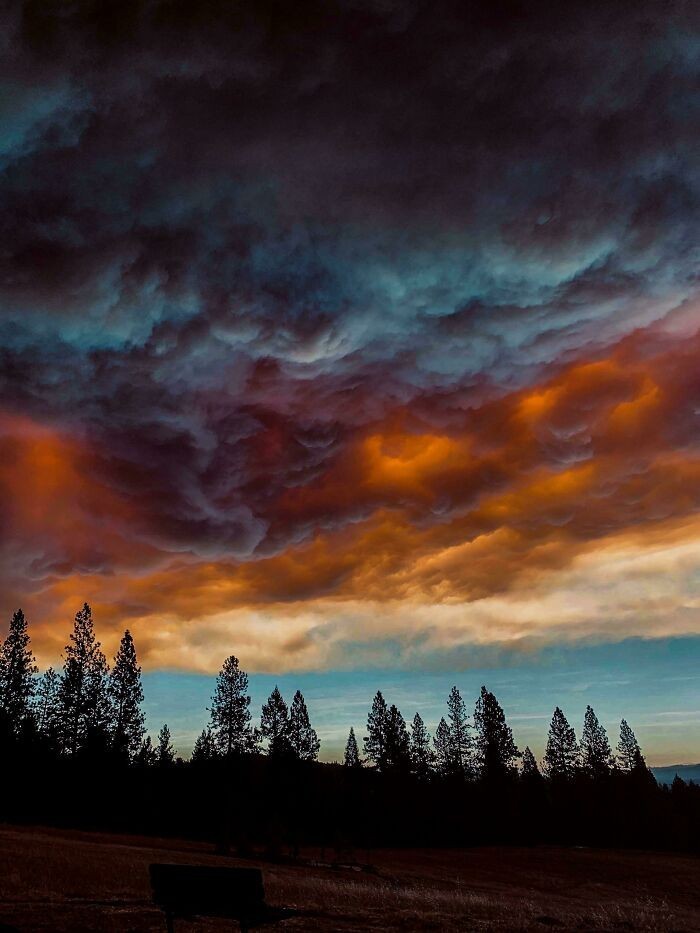 Apokaliptyczne niebo nad Kalifornią, będące skutkiem dymu z pobliskich pożarów 