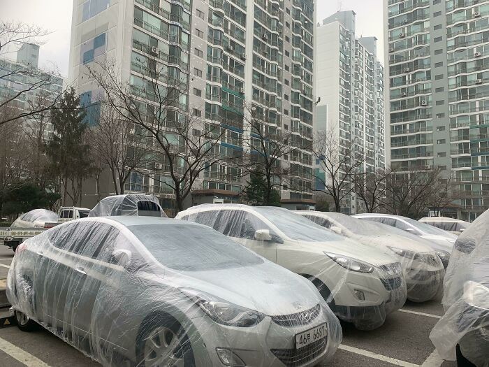 8. Podczas malowania bloku w Korei, robotnicy osłonili wszystkie auta stojące na parkingu.