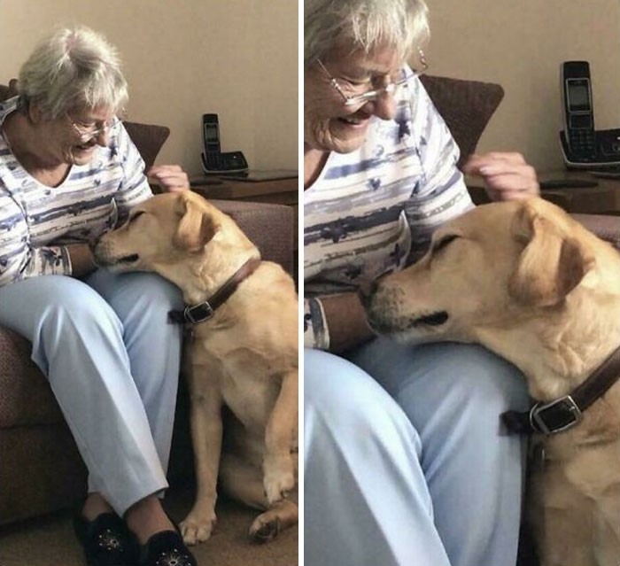 "Moja babcia ma demencję. Każdego dnia spotyka mojego psa po raz pierwszy i zakochuje się w nim raz za razem."
