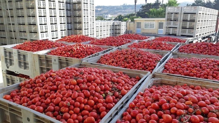 6. Zdjęcie skrzynek pomidorów wyglądające jak miasto