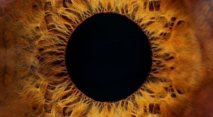 6. Ludzkie oko