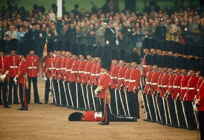 Członek Gwardii Królewskiej zasłabł podczas parady w Londynie, 1966