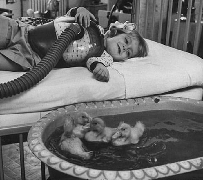 Zwierzęta używane jako element terapii medycznej, 1956