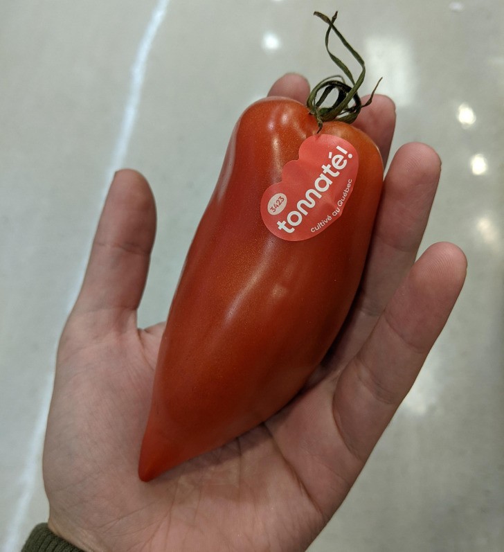 "Ten pomidor wygląda jak papryka."