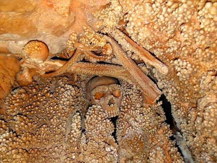 8. Człowiek z Altamury - skamieniałości jednych z najstarszych odnalezionych szczątków neandertalczyka. Ich wiek szacuje się na co najmniej 128 tysięcy lat.