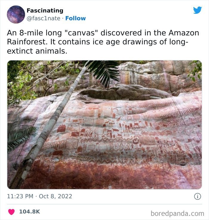 "8-milowe 'płótno' odkryte w Amazonii. Zawiera malowidła z epoki lodowcowej przedstawiające dawno wymarłe zwierzęta"
