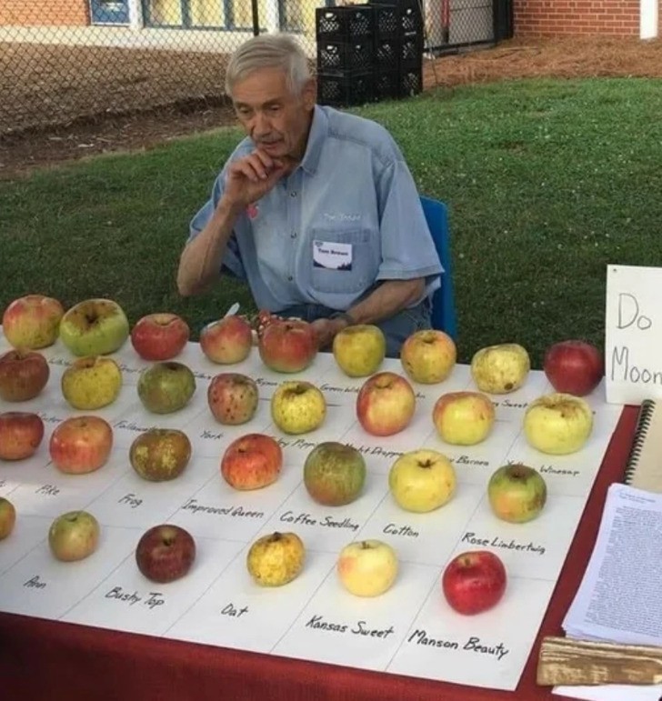 "Ten mężczyzna kolekcjonuje odmiany jabłek, które już nie istnieją."