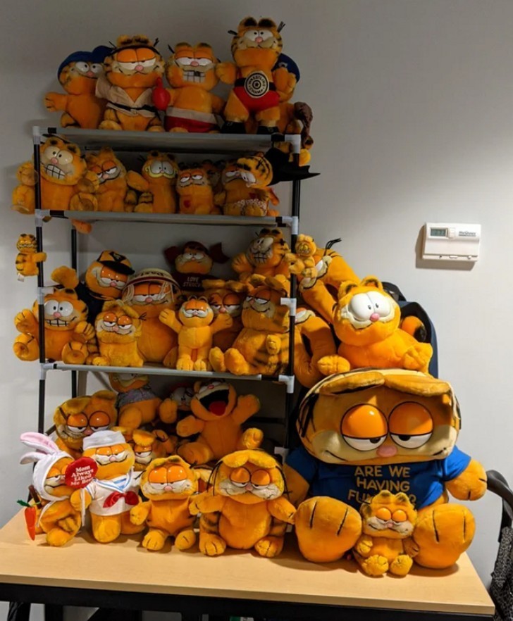 "Wreszcie zamontowałem półki na moją kolekcję Garfieldów."