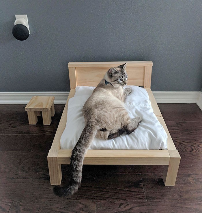 "Mąż postanowił, że własnoręcznie wykona ramę łóżka. Myślałam, że zrobi to pod nasz nowy materac. Okazało się, że to dla kota."