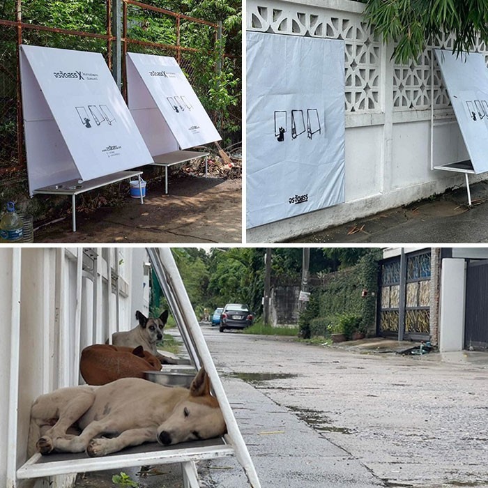 "Tajlandzka organizacja charytatywna zaczęła rozstawiać składane schronienia dla bezdomnych psów, wykonane z bilbordów poddanych recyklingowi."