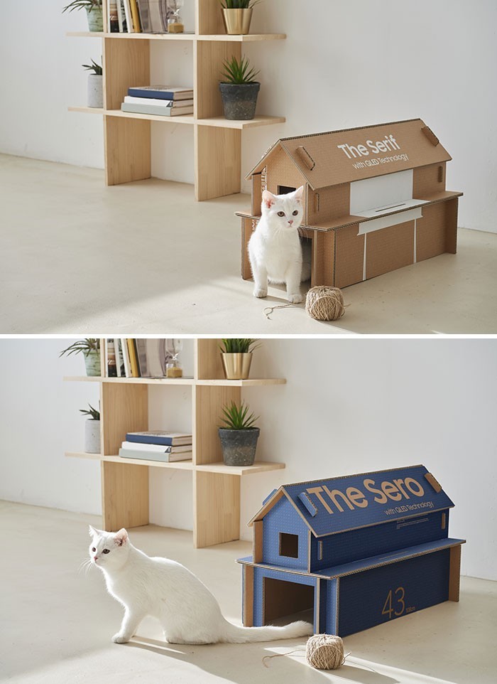 "Samsung przekształcił swoje kartony od telewizorów tak, by można było złożyć z nich domek dla kota."