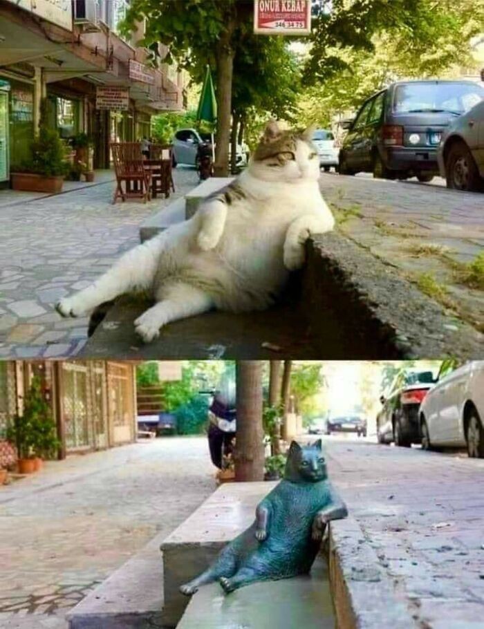"Pomnik w Stambule ku czci Tombili, sławnego kota ulicznego. Tombili siadał w tej pozycji i obserwował przechodniów."