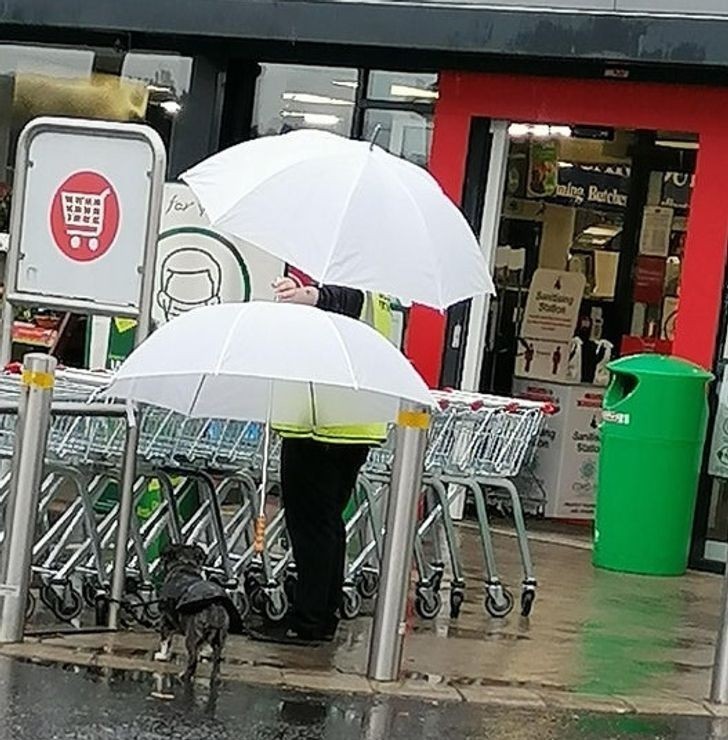 4. "Ochroniarz trzymający parasol nad psem klienta robiącego zakupy"