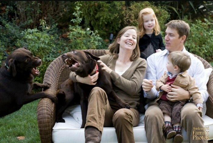 18. "Próbowaliśmy zrobić sobie rodzinne zdjęcie z naszymi labradorami."