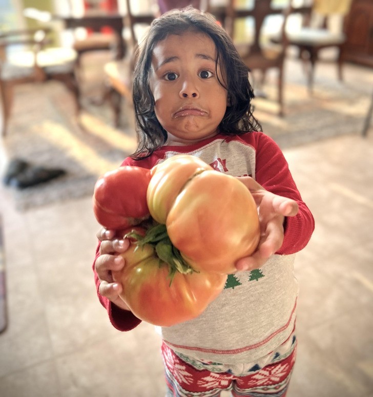 "Moja córka prezentująca ogromnego pomidora z naszego ogródka"