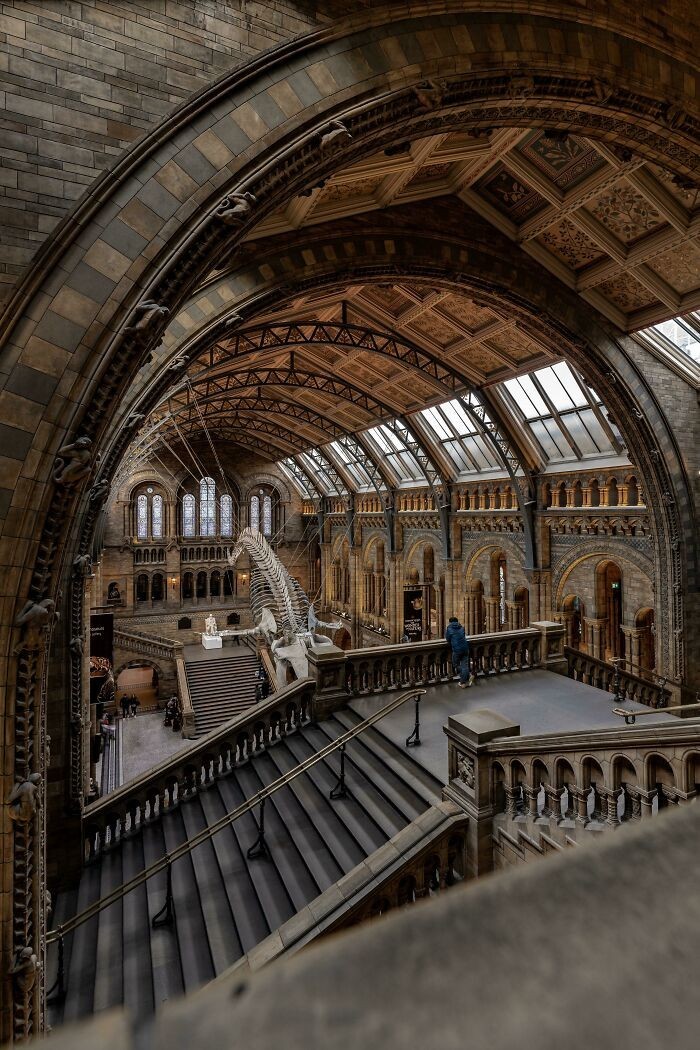 "Muzeum historii naturalnej, Londyn, Wielka Brytania"