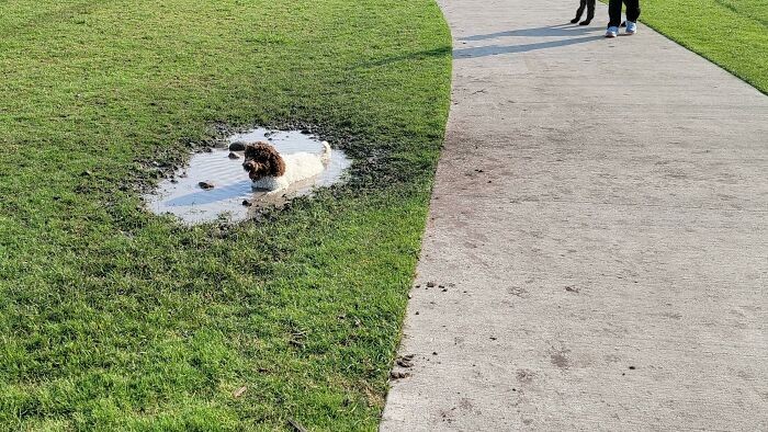 "Specjalnie wybrałam park bez zbiorników wodnych."
