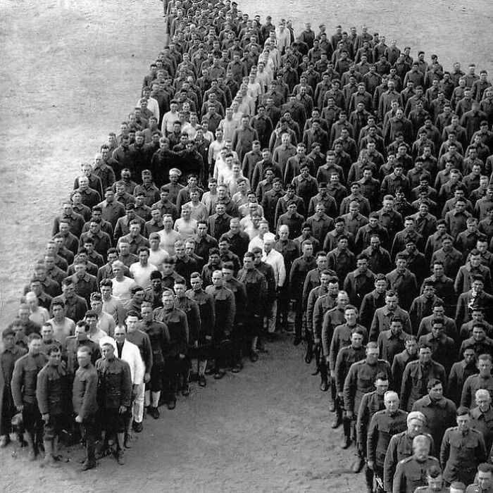Żołnierze z I wojny światowej oddający hołd milionom koni, osłów i mułów, które zginęły podczas walk
