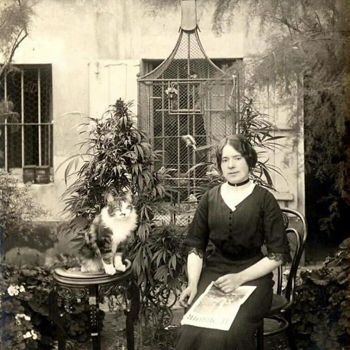 Kobieta i jej kot w ogrodzie konopi, Paryż, 1910