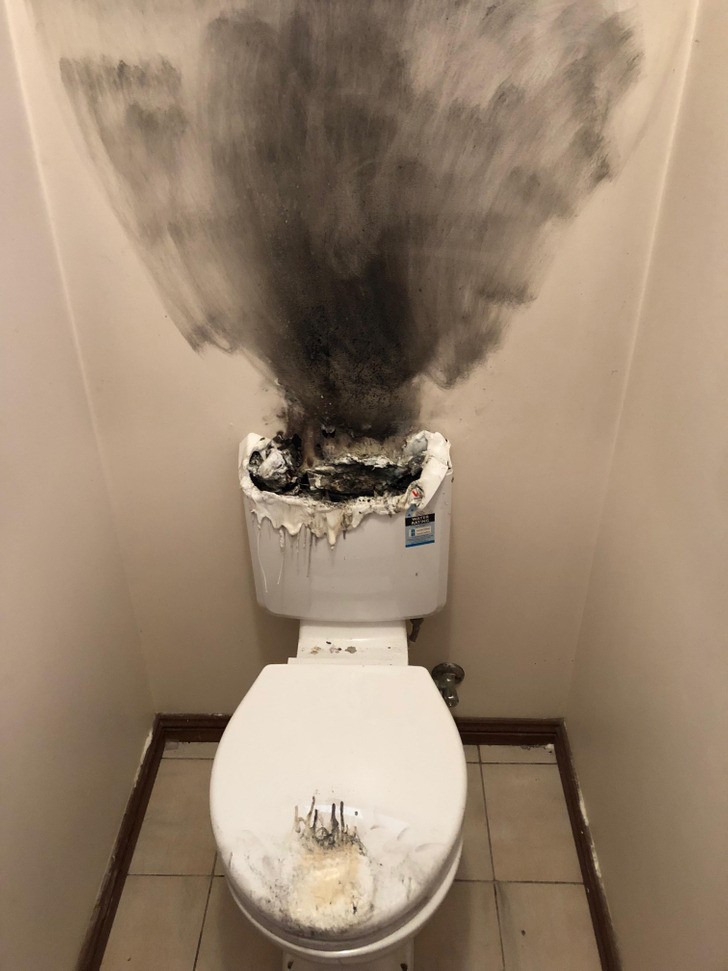 "Lokatorzy zadzwonili dziś, by poinformować mnie, że w toalecie przestała działać spłuczka. Gdy na miejscu pojawił się hydraulik, ujrzał to."
