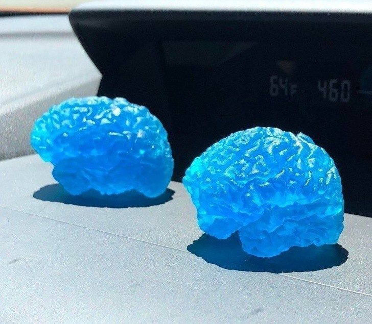 3. Wydrukowałam mózg mój i mojego męża w drukarce 3D, na podstawie rezonansu magnetycznego