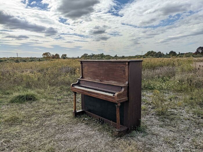 "Odkryłem pianino... na kompletnym pustkowiu."