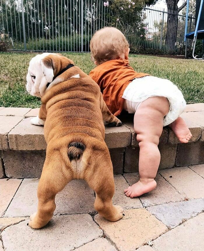 "Pies i dziecko"