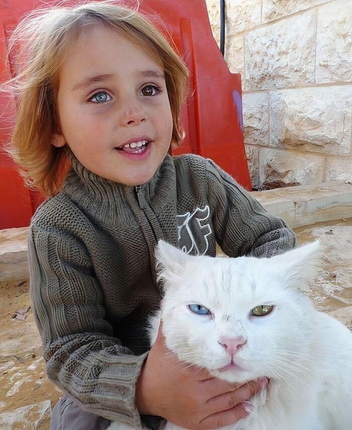 "Izraelski chłopiec i jego kot - obaj mają różnobarwne tęczówki!"