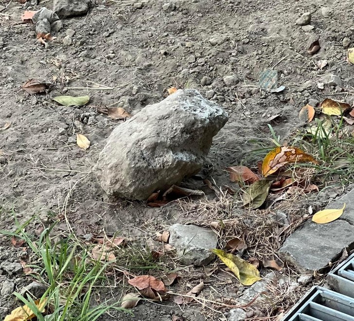 "Ten kamień wygląda jak skamieniała żaba."