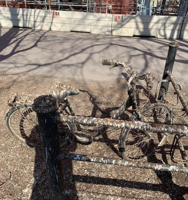 "Ktoś zostawił swój rower pod niewłaściwym drzewem."