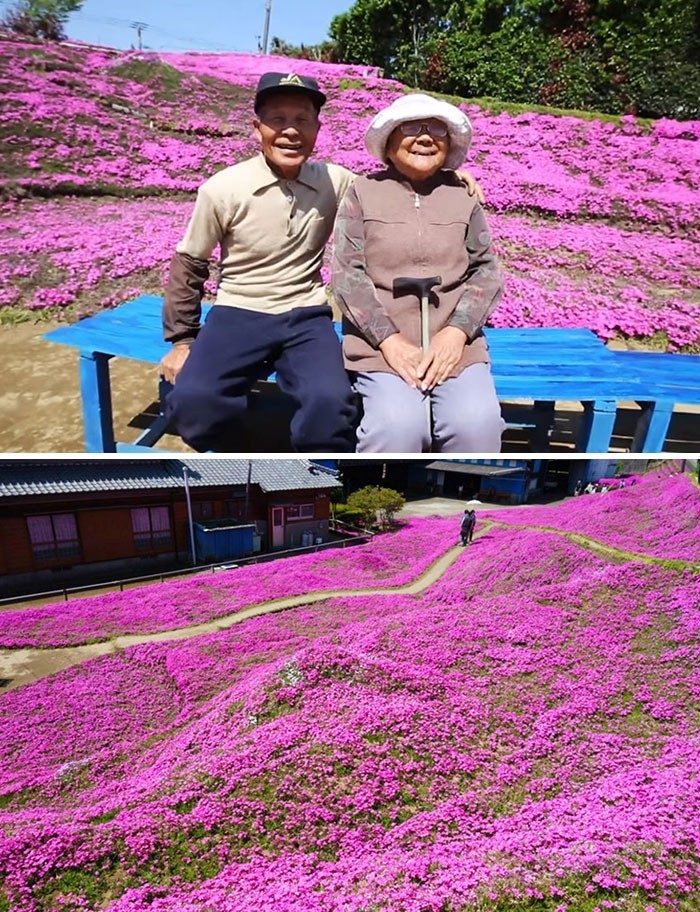 1. Mąż poświęcił 2 lata, by zasadzić tysiące pachnących kwiatów dla niewidomej żony. Pomogły jej wyjść z depresji."