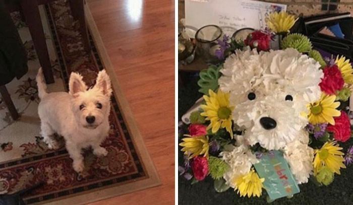 2. "Mój pies zmarł w zeszłym miesiącu. Mój chłopak sprawił mi bukiet kwiatów w jego kształcie."