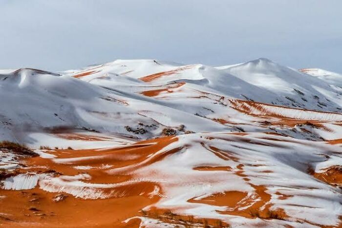 Gdy na Saharze spadnie śnieg: