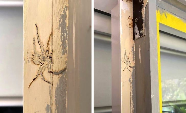 11. "Ktoś pomalował ten fragment wraz z siedzącym tam gigantycznym pająkiem."
