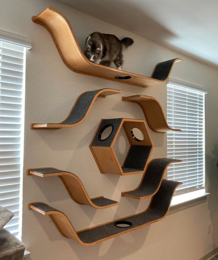 10. "Własnoręcznie wykonana ścianka dla kota"