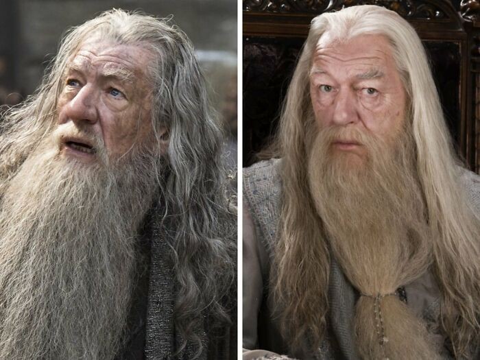 6. Ian McKellen vs Michael Gambon - Albus Dumbledore, seria "Harry Potter"