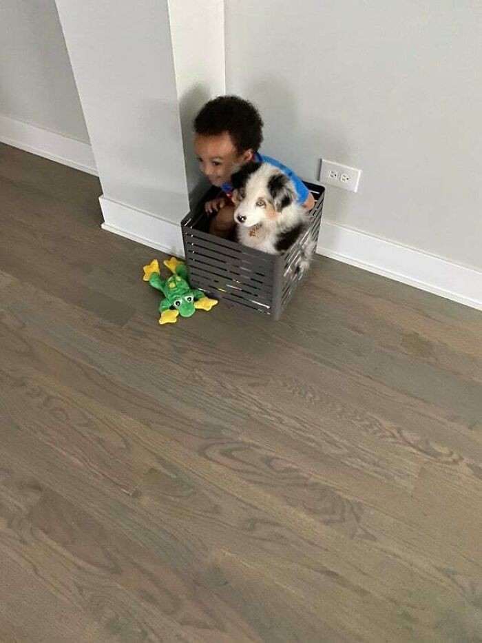 11. Chłopiec i jego nowy pies