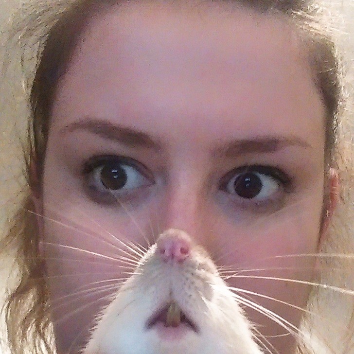 "Mój szczur postanowił wprosić się do zdjęcia. Zostałam kobietą-szczurem."