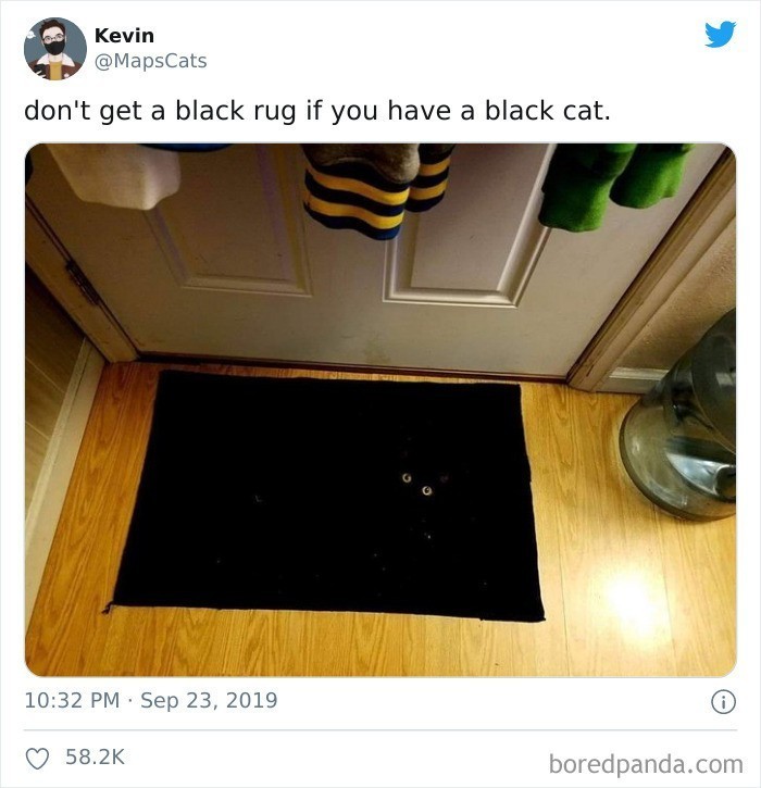 1. "Nie kupujcie czarnych dywaników, jeśli macie czarnego kota."