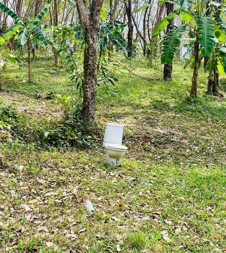 "Podczas spaceru w lesie znalazłem toaletę."