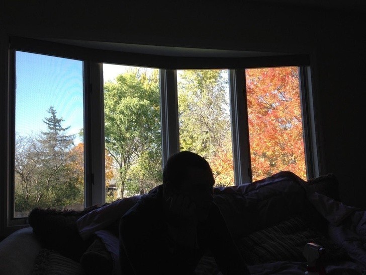 „To okno sprawia, że moje podwórko wygląda jakby znajdowało się w czterech różnych porach roku.”