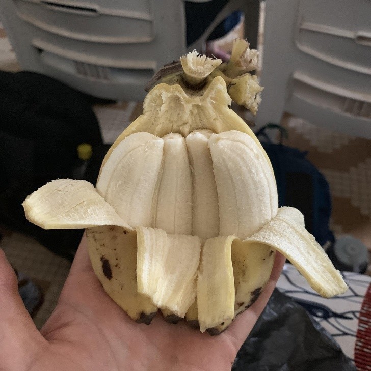 Poczwórny banan