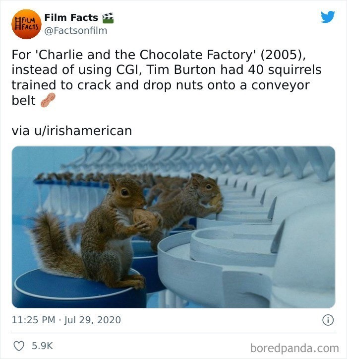 7. W "Charlie i fabryka czekolady", zamiast wykorzystać CGI, Tim Burton użył czterdziestu wiewiórek wytresowanych do łupania orzechów i upuszczania ich na przenośnik taśmowy.
