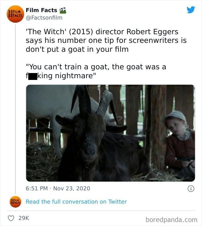 10. Reżyser "Czarownicy", Robert Eggers, podkreśla, że najcenniejsza rada, jaką może podzielić się z innymi scenarzystami, to: Nie umieszczajcie kozy w waszym filmie. "Nie da się wytresować kozy. Ona była cholernym koszmarem."