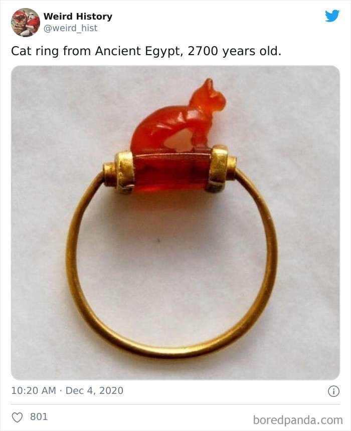 2. "Koci pierścień ze starożytnego Egiptu, liczący 2700 lat"