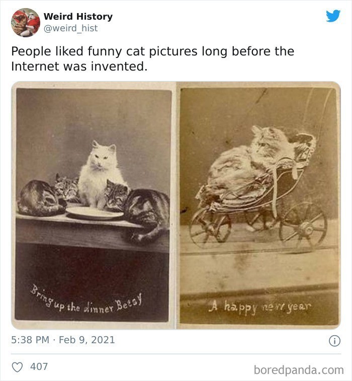 4. "Ludzie lubili zabawne zdjęcia kotów na długo przed wynalezieniem Internetu."
