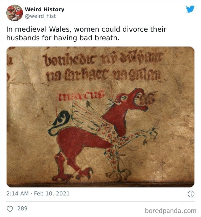 8. "W średniowiecznej Walii, kobieta mogła rozwieść się z mężem z powodu jego nieświeżego oddechu."