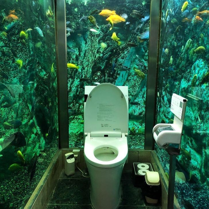 2. Toaleta z akwarium