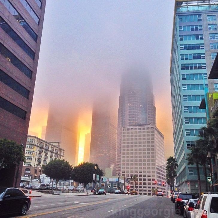 "Połączenie wschodu słońca i mgły sprawiło, że Los Angeles wyglądało jakby stało w płomieniach."
